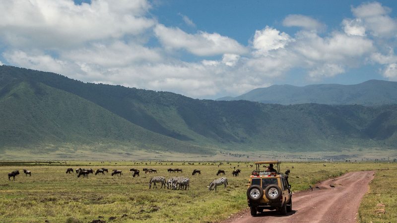 Ngorongor game drive