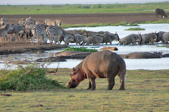 Lake-Manyara-National-Park