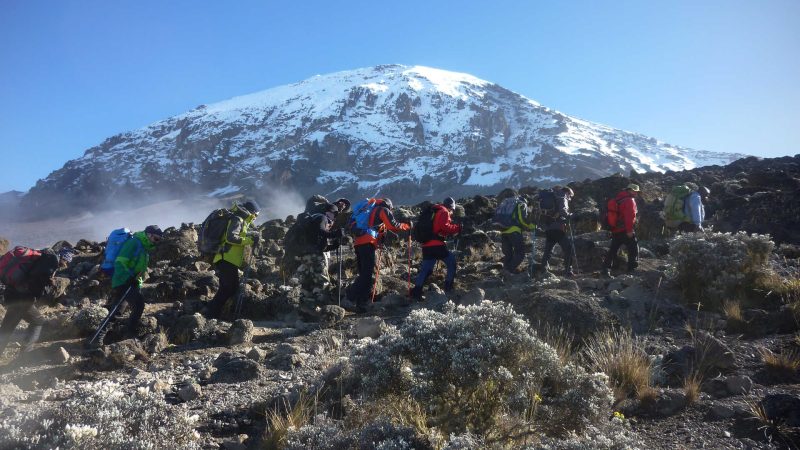 hikers-during-the-kilimanjaro