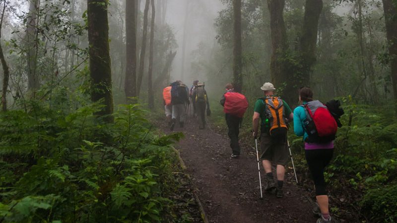 MARANGU DAY HIKE TOUR