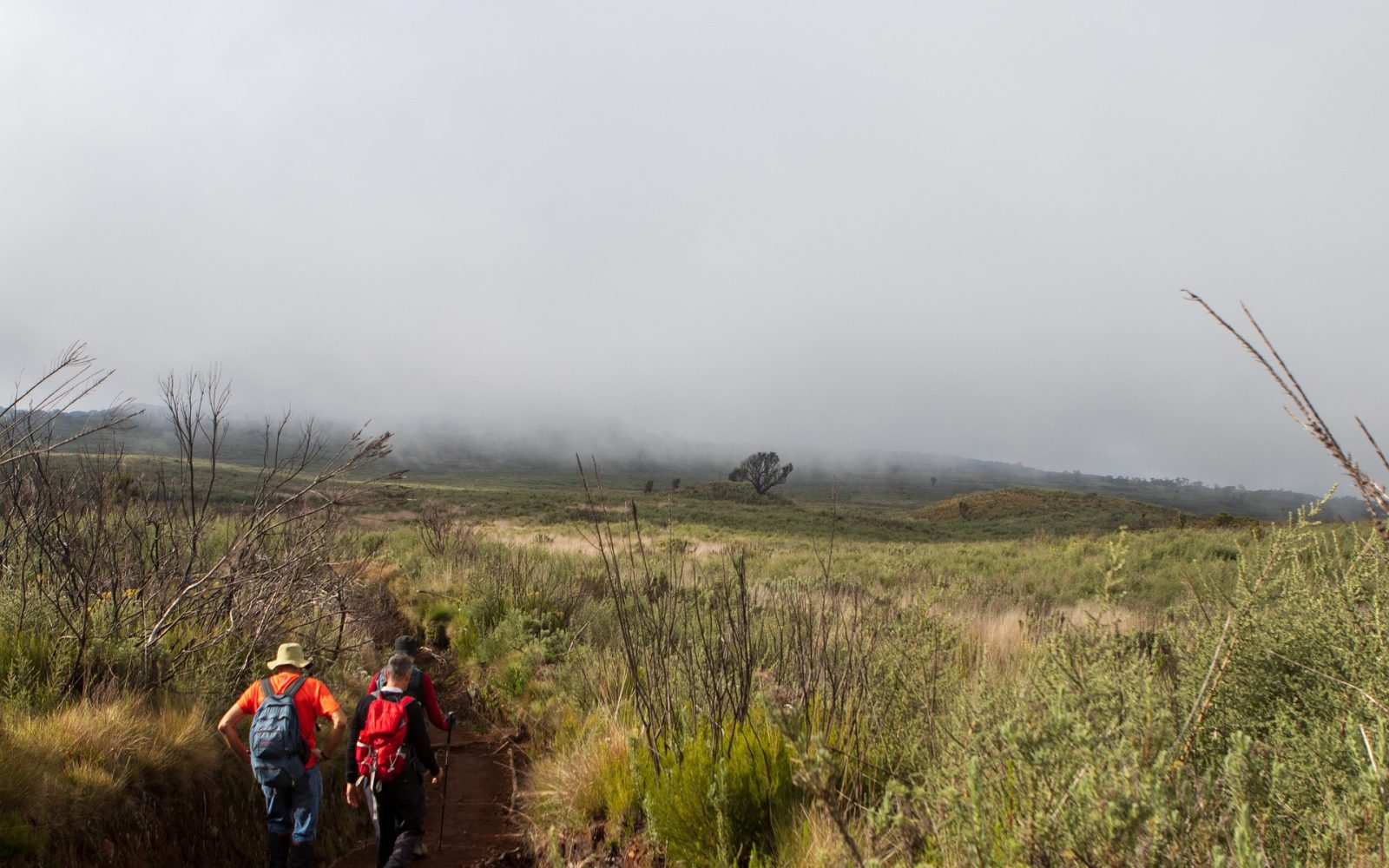 marangu hike